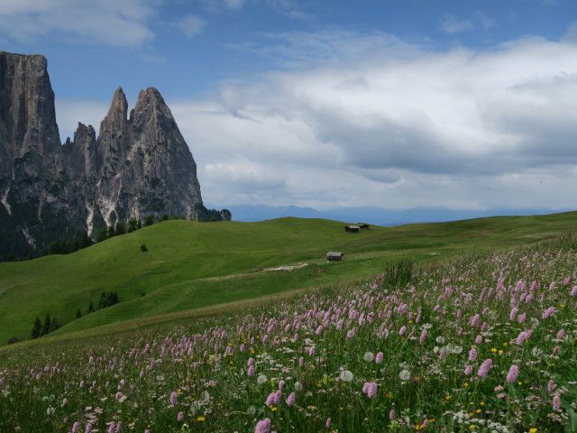 Schlern (21. Juni)