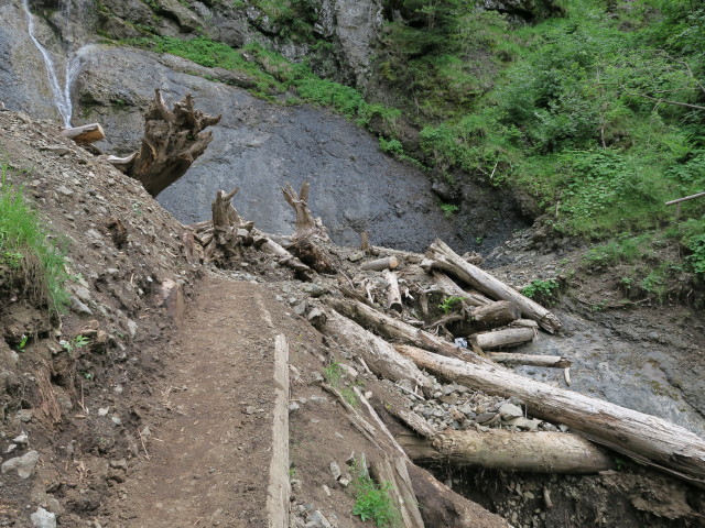 Proßlinger Steig (21. Juni)