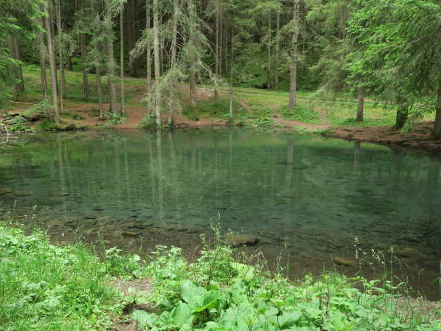 neben Weg 1 zwischen Geologensteig und Seis (21. Juni)