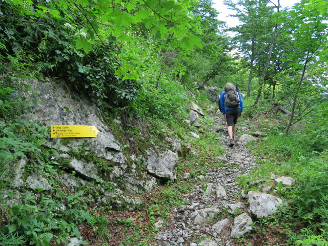 David am Zugang zum Cellonstollen