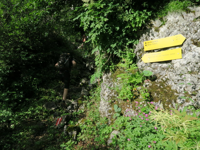 David am Zugang zum Cellonstollen