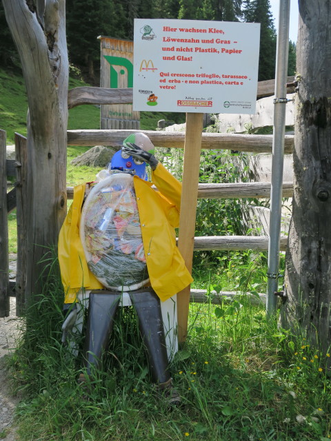 bei der Talstation der Materialseilbahn Wangenitzseehütte, 1.673 m (4. Juli)