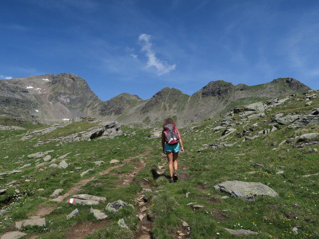 Irmgard auf Weg 34 zwischen Schoberköpfl und Neualplseen