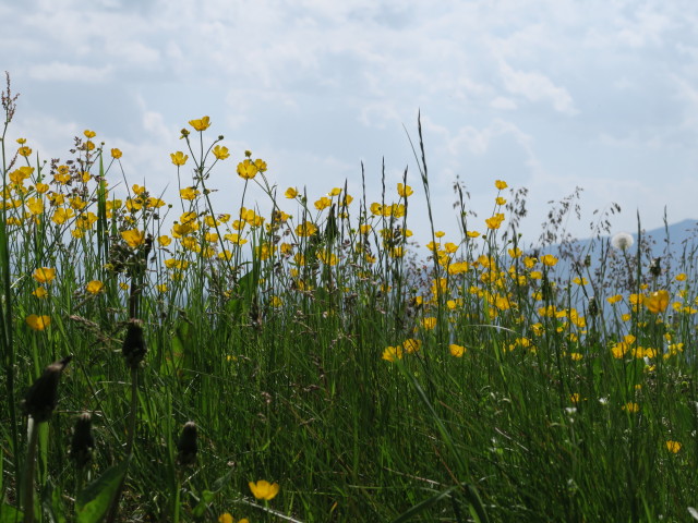 bei der Bergstation Steinermandl, 2.218 m