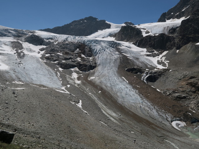 Ochsentaler Gletscher von der Grünen Kuppe aus (14. Juli)