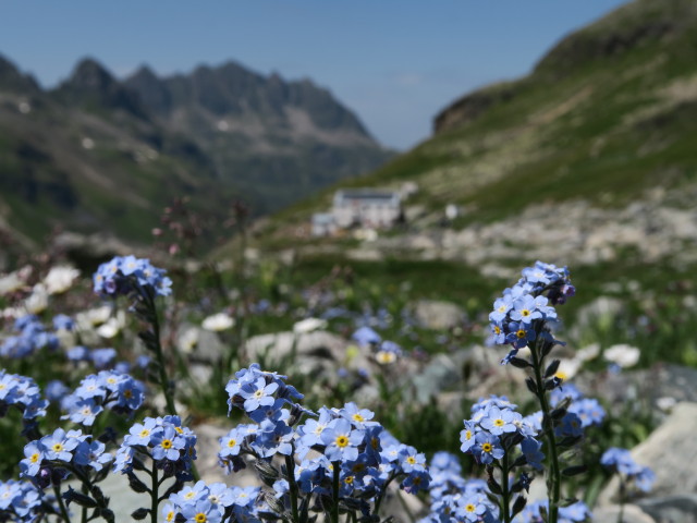 Wiesbadener Hütte (14. Juli)