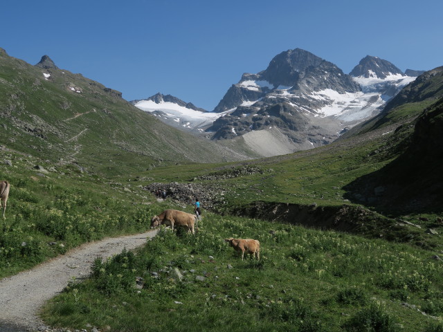 Ochsental (14. Juli)