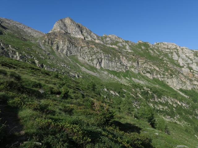 Griesbergalm (18. Juli)