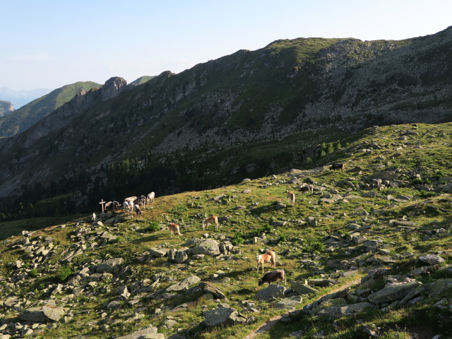 Griesbergalm (18. Juli)