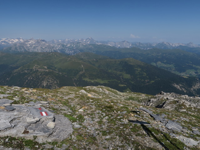 Tiroler Höhenweg zwischen Mäuerlscharte und Wolfendorn (18. Juli)