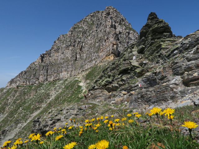 Tiroler Höhenweg zwischen Wolfendorn und Wildseespitze (18. Juli)