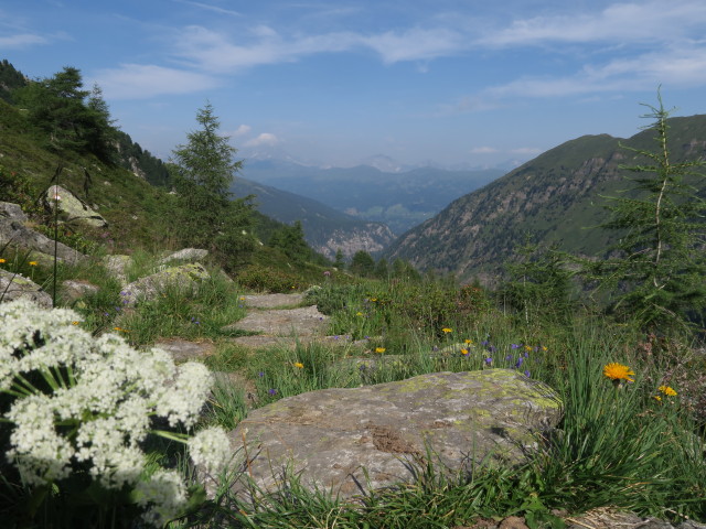 Weg 531 zwischen Landshuter Europahütte und Antonienquelle (19. Juli)