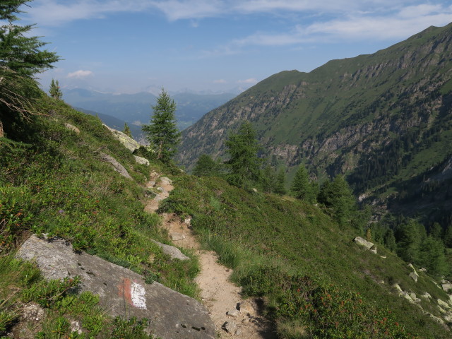 Weg 531 zwischen Landshuter Europahütte und Antonienquelle (19. Juli)