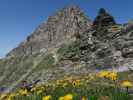 Tiroler Höhenweg zwischen Wolfendorn und Wildseespitze (18. Juli)