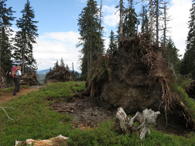 Mama zwischen Spießkogel und Hubereck