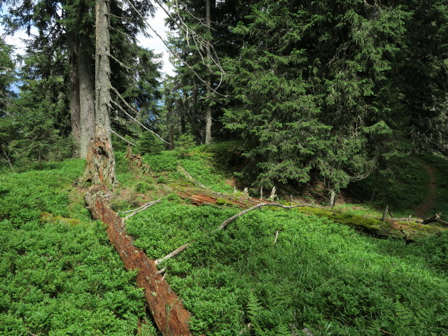 zwischen Spießkogel und Hubereck