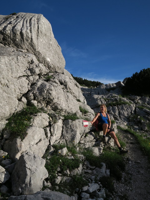 Maria auf Weg 214 zwischen Röllsattel und Weg 201 (31. Juli)