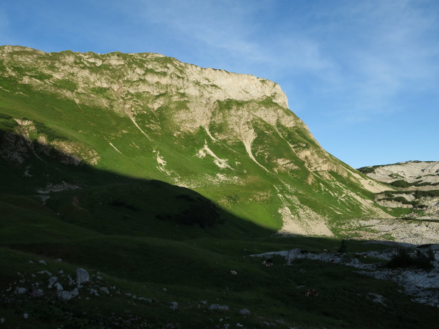 Wildgössl (1. Aug.)