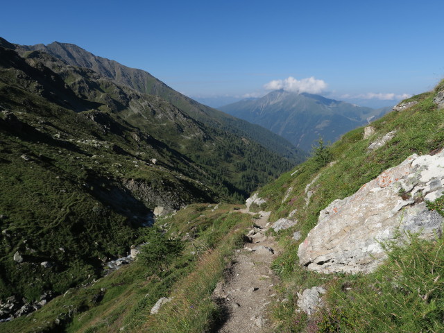 zwischen Nigglalm und Peischlachtörl (7. Aug.)