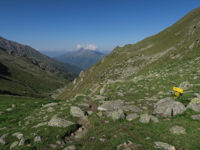 zwischen Nigglalm und Peischlachtörl (7. Aug.)