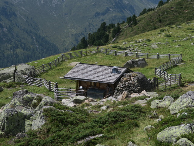 zwischen Gaimberger Feld und Seichenbrunn (9. Aug.)