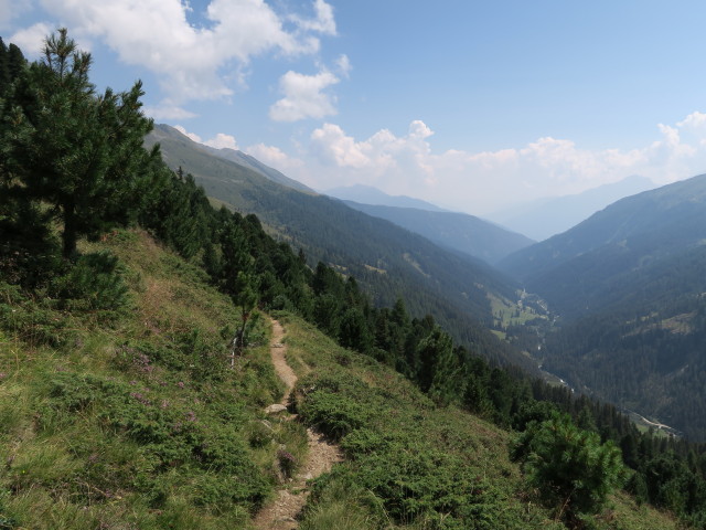 zwischen Gaimberger Feld und Seichenbrunn (9. Aug.)