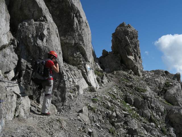 Carmen am Weg 02 zwischen Salarueljoch und Schafloch (22. Aug.)