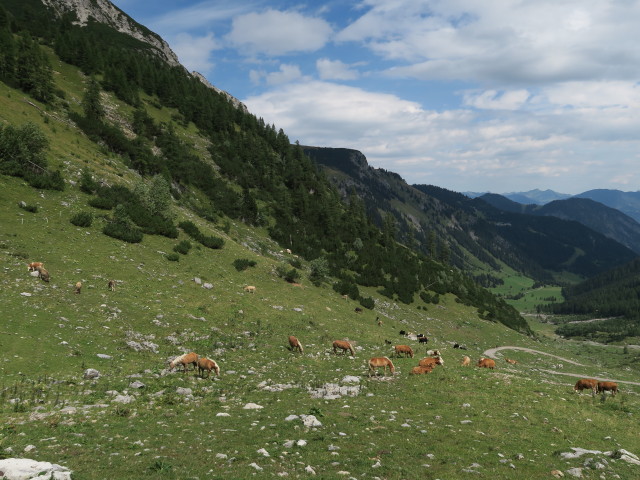 zwischen Oberzalimhütte und Mittelzalimalpe (23. Aug.)