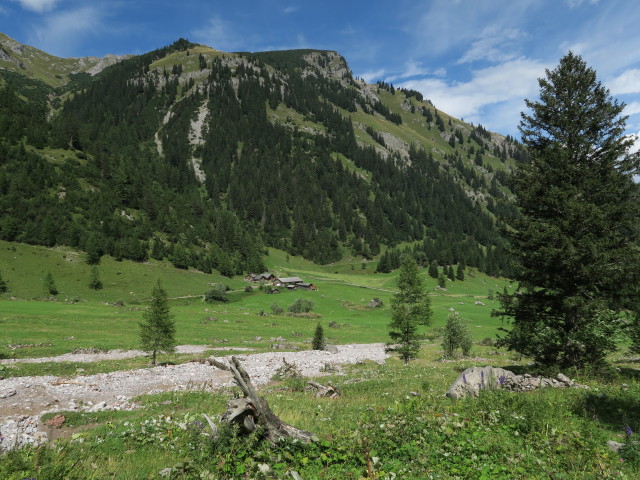Unterbr&uuml;ggelealpe, 1.469 m (23. Aug.)