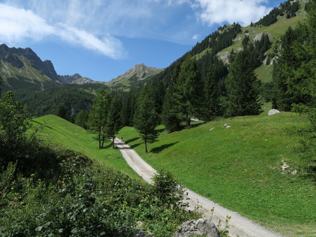 zwischen Unterbrüggelealpe und Unterzalimalpe (23. Aug.)