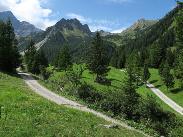zwischen Unterbr&uuml;ggelealpe und Unterzalimalpe (23. Aug.)