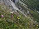 neben Weg 02 zwischen Salarueljoch und Schafloch (22. Aug.)