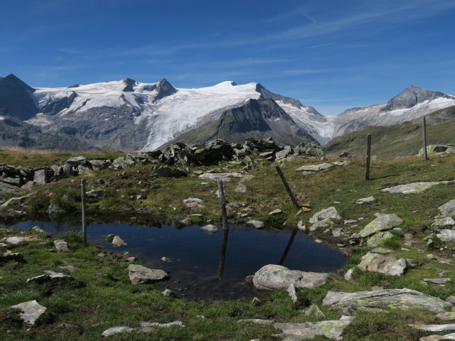 neben dem Venediger H&ouml;henweg am First (28. Aug.)