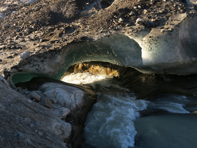 Zungenende des Schlatenkeeses (30. Aug.)