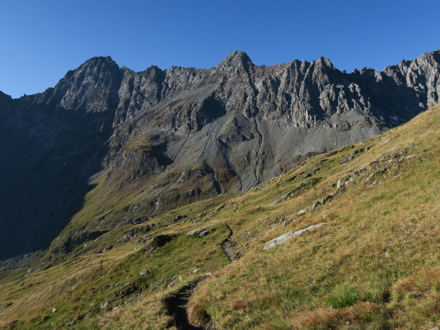 Venediger H&ouml;henweg im Goldried (31. Aug.)