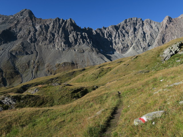 Venediger H&ouml;henweg in Garteneggen (31. Aug.)