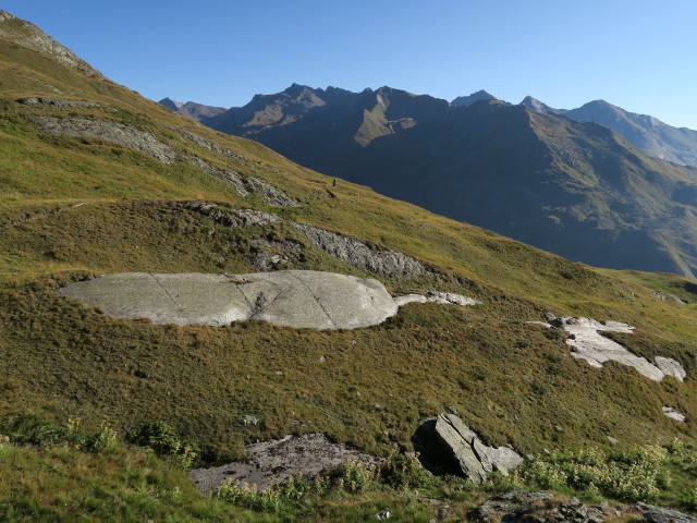 Venediger H&ouml;henweg in Garteneggen (31. Aug.)