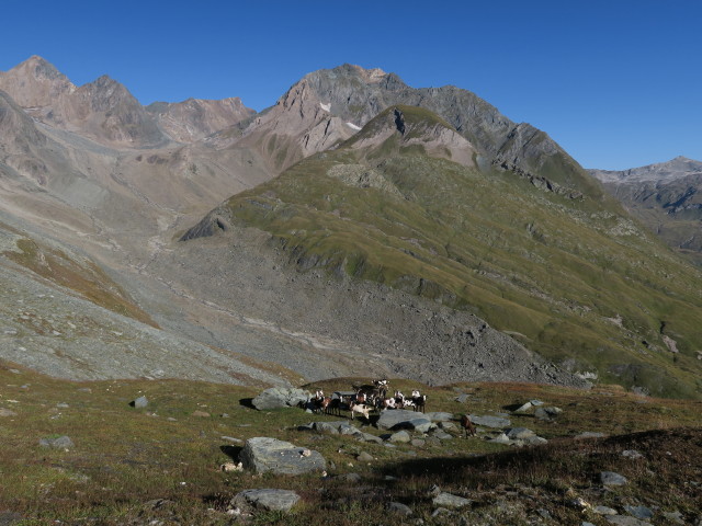 neben dem Venediger H&ouml;henweg zwischen Malfrostnitz und Galtenscharte (31. Aug.)