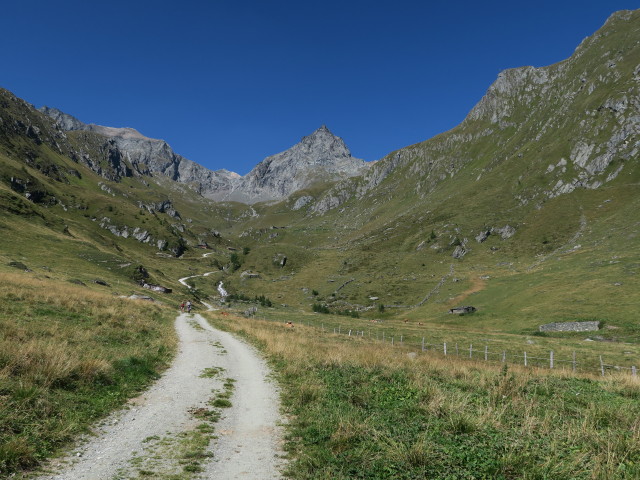 Weg 922 im Gro&szlig;en Nilltal (31. Aug.)