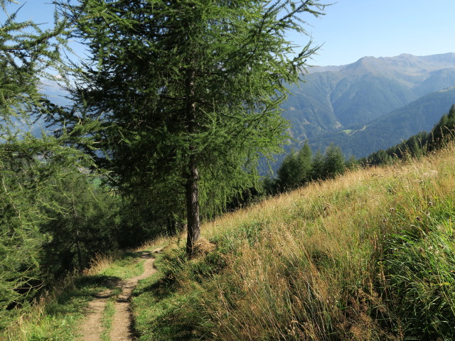 zwischen Nilljochh&uuml;tte und Pulverertal (31. Aug.)