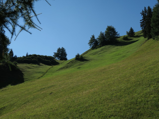 zwischen Nilljochh&uuml;tte und Pulverertal (31. Aug.)