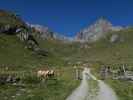 Weg 922 auf der Stuhleralm (31. Aug.)