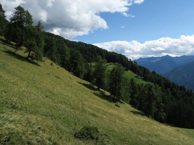 Pfunderer Höhenweg zwischen Pflitschalm und Weg 5A