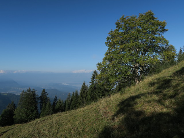 zwischen Bingadels und Alpwegkopf (26. Sep.)