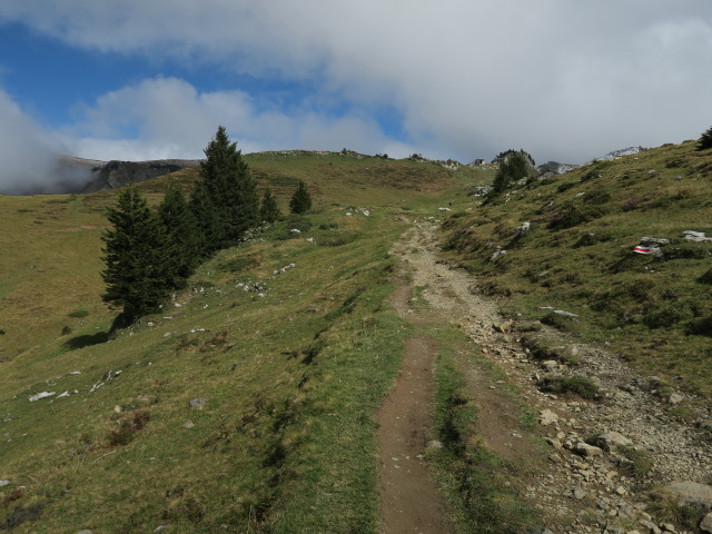 zwischen Unterer Saluveralpe und Oberer Saluveralpe (26. Sep.)