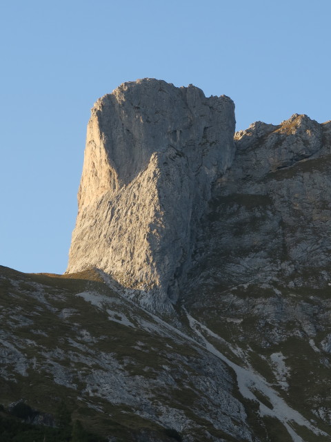 Sturzhahn (2. Okt.)