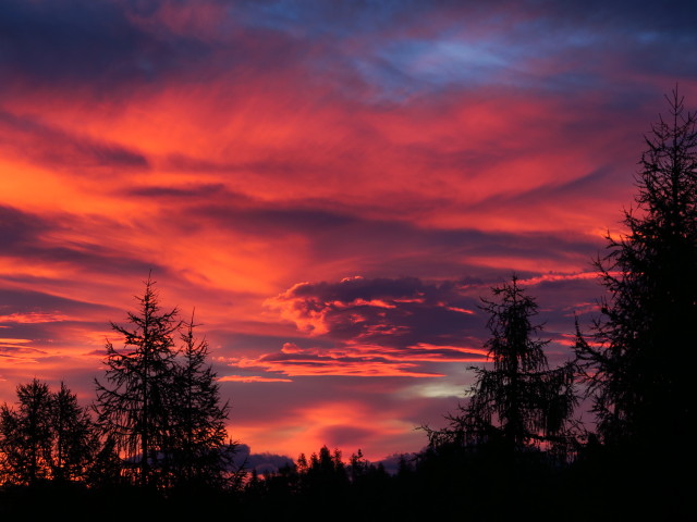 vom Linzer Tauplitzhaus Richtung Osten (3. Okt.)