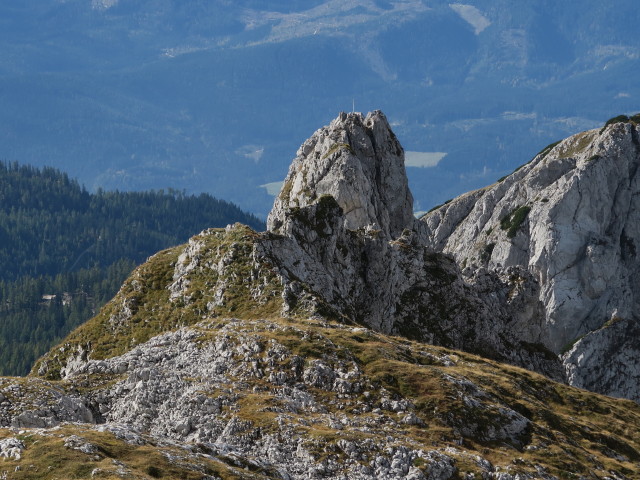 Sturzhahn vom Löckenkogel aus (3. Okt.)