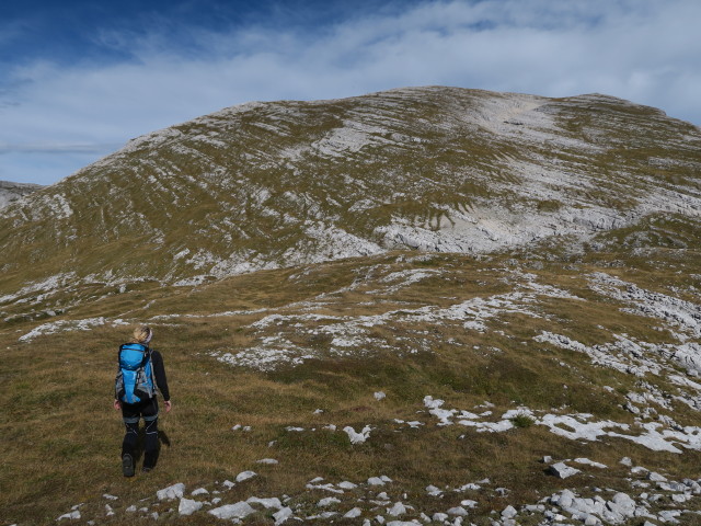 Sabrina zwischen L&ouml;ckenkogel und Kleinem Tragl (3. Okt.)