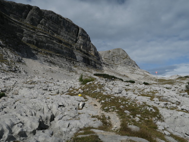 Weg 276 zwischen Schwaigbrunn und Himmelreich (3. Okt.)